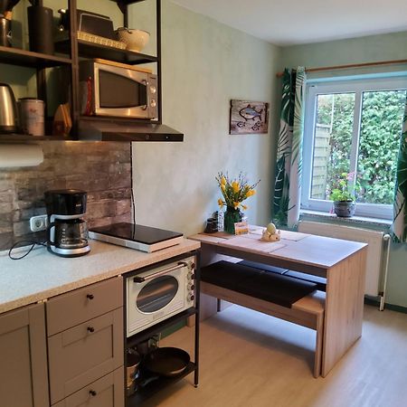 Studio-Apartment Mit Kleinem Gartenanteil Burg auf Fehmarn Bagian luar foto